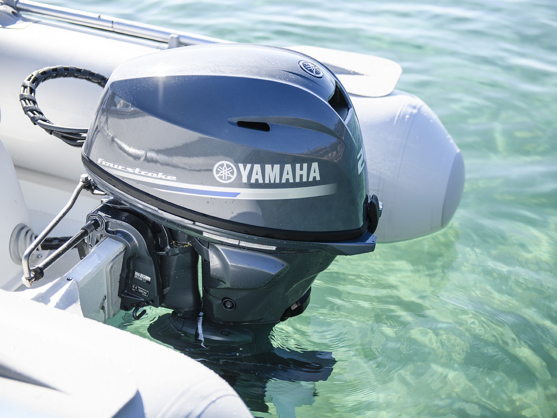 Yamaha F20G - 2022