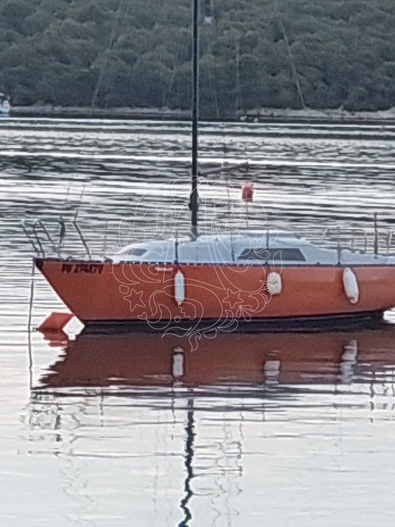 neptun segelboot werft