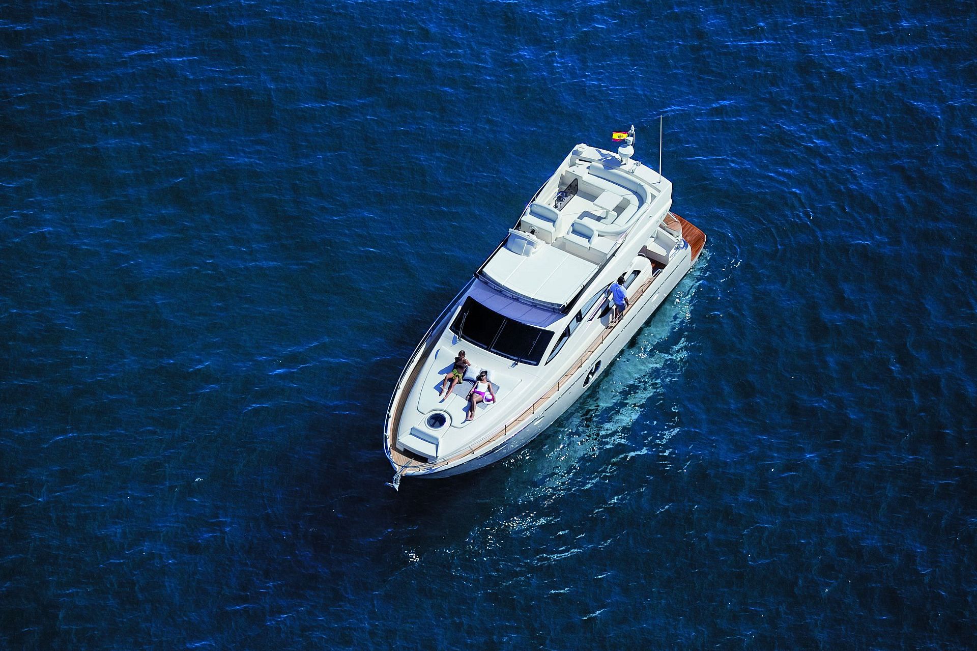 Rodman Muse 50 - 2024