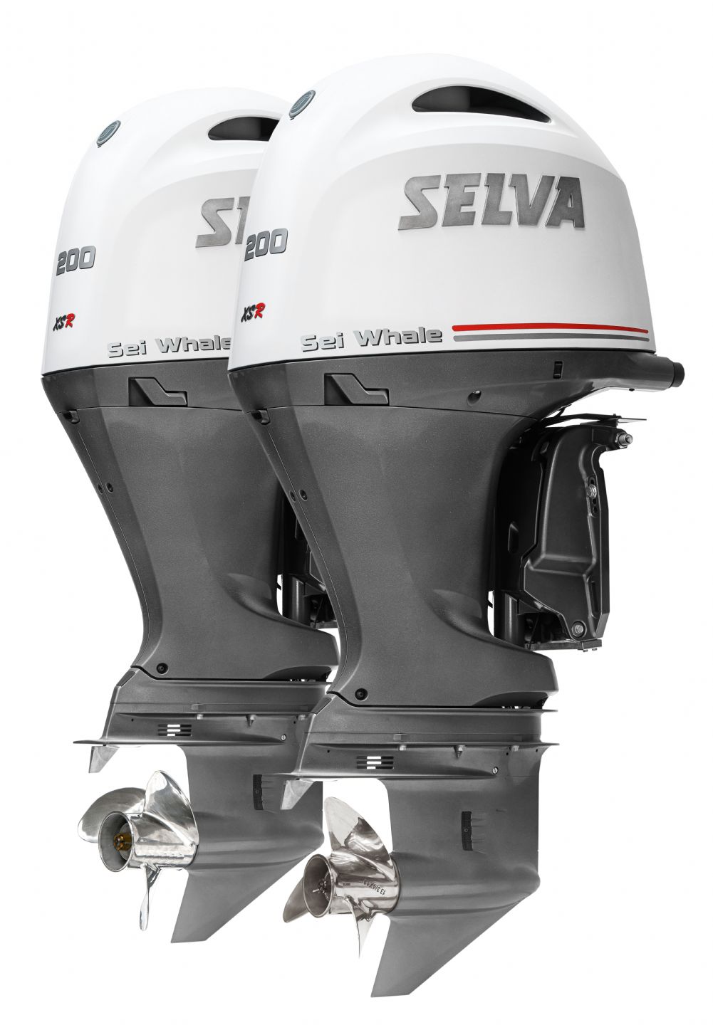 SELVA RIGH WHALE 250 - 2024