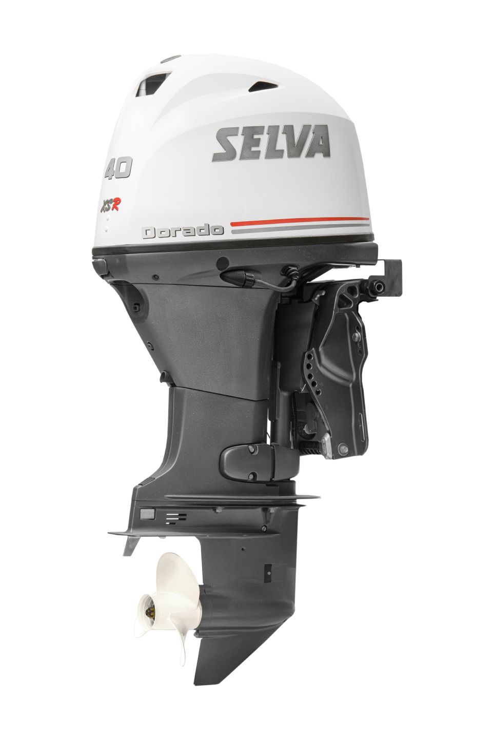 Selva DORADO 40 XSR - 2024