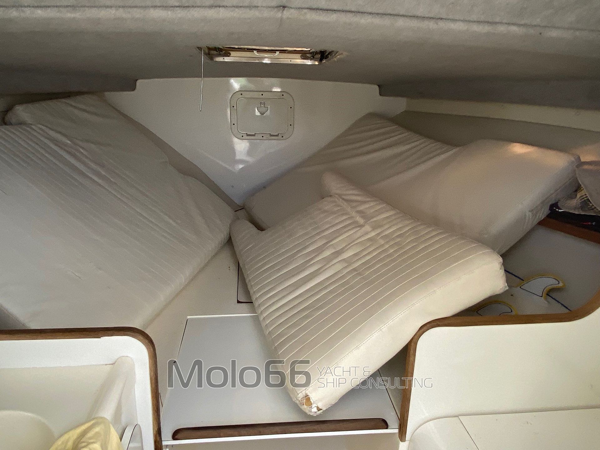 Bertram Yacht 28 Moppie - 1990
