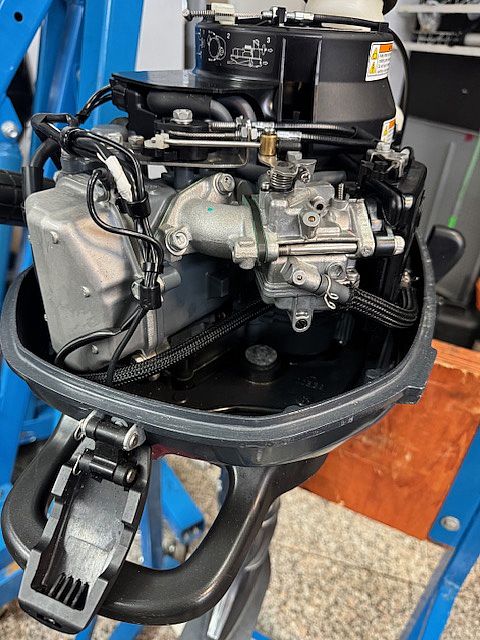 YAMAHA F5AMH - 2023