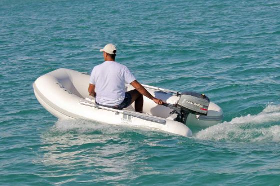 Tiger Marine TENDER 310 - 2026