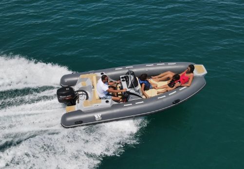 Tiger Marine Sportline 520 - NOVO 2026. - 2026
