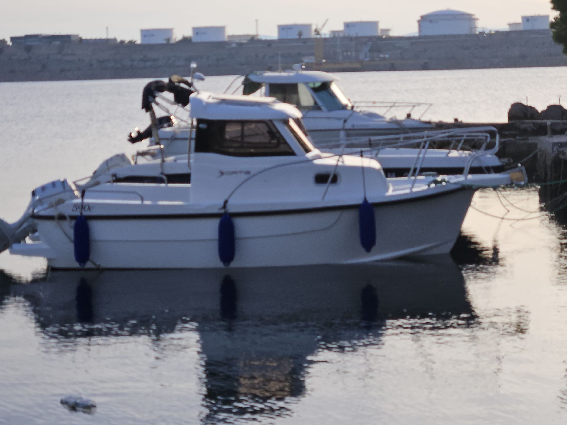 Fortis - 590 - 2023