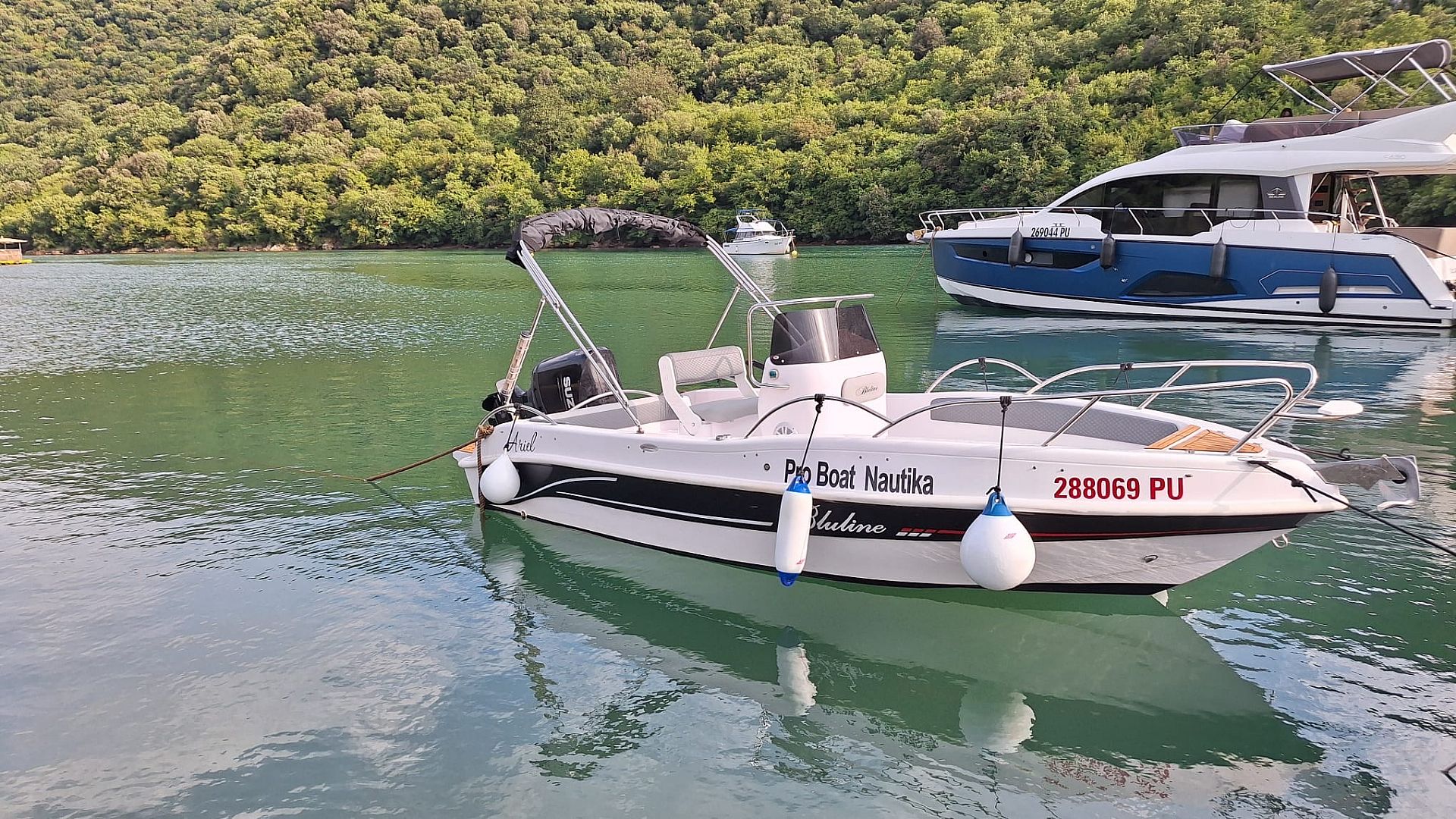 Bluline 19 open Plus - 2024 - for sale: 25450.-EUR