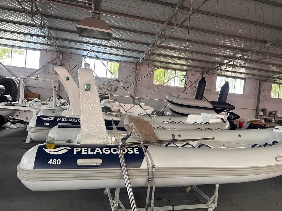 Pelagoose 480 - 2025