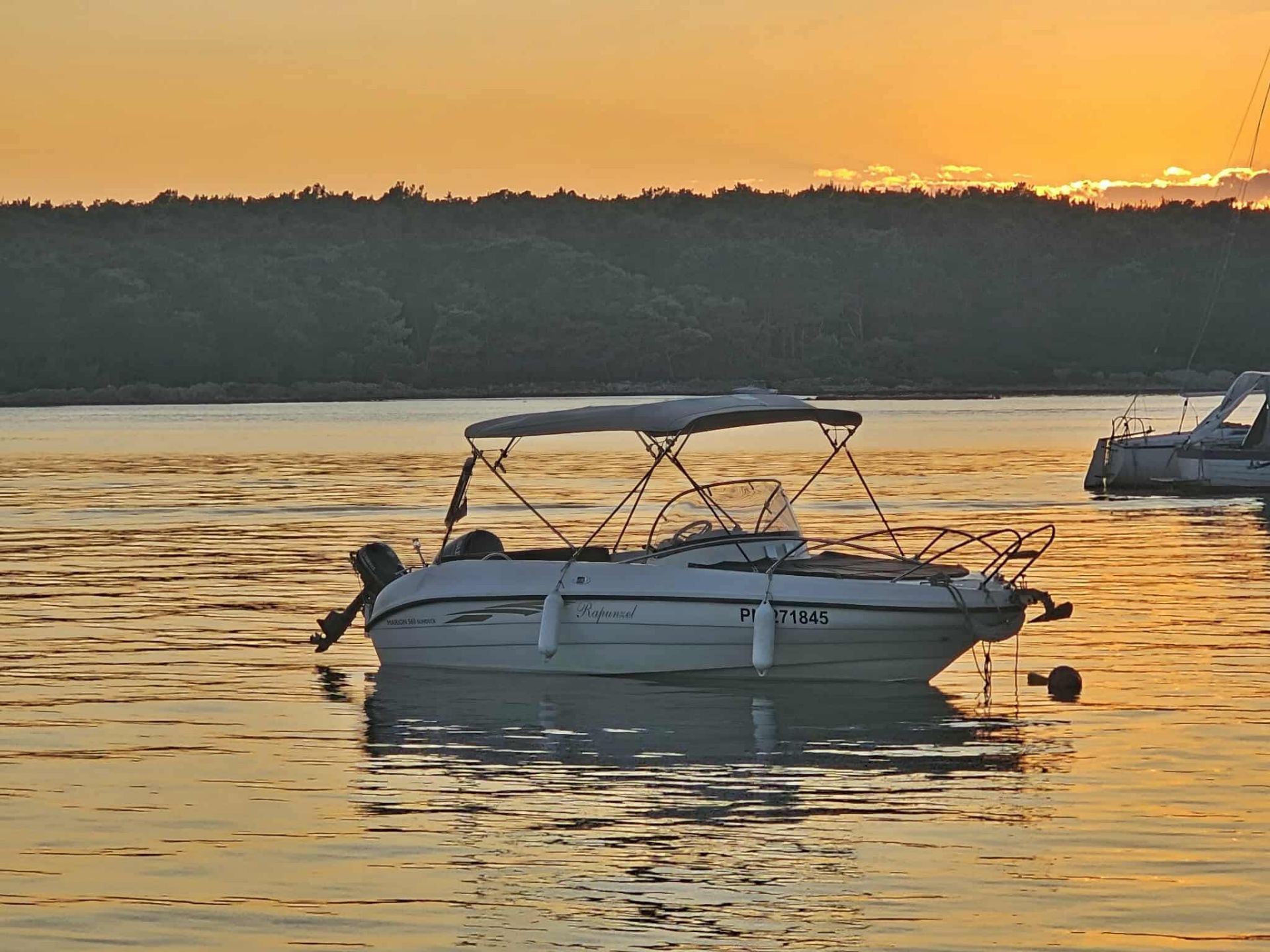 Marion 560 sundeck - 2019