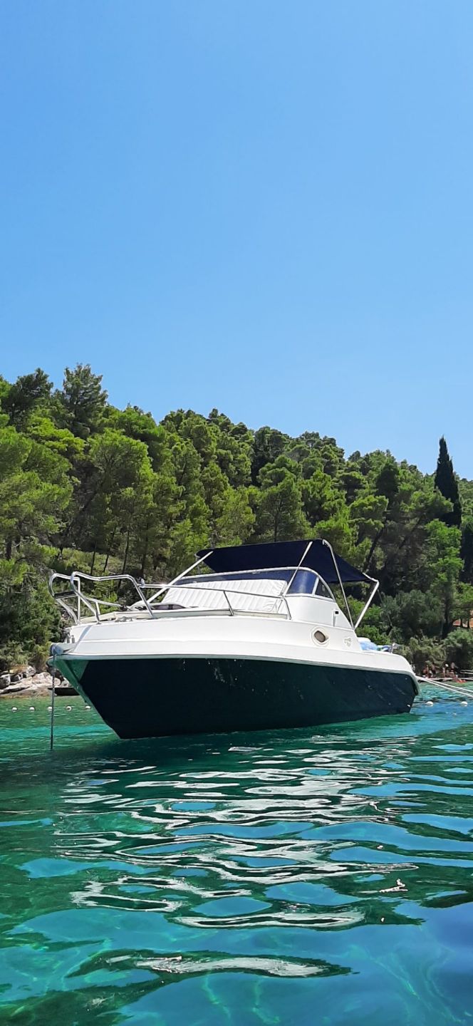 Terminal Boat Felling 21 cabin - 2006 - for sale: 18500.-EUR