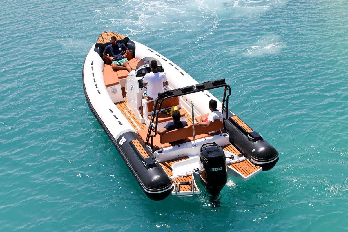 Tiger Marine Open 850 - NOVO 2026 - 2026