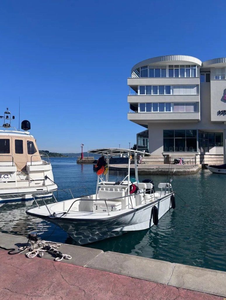 Boston Whaler Montauk 210 - 2012