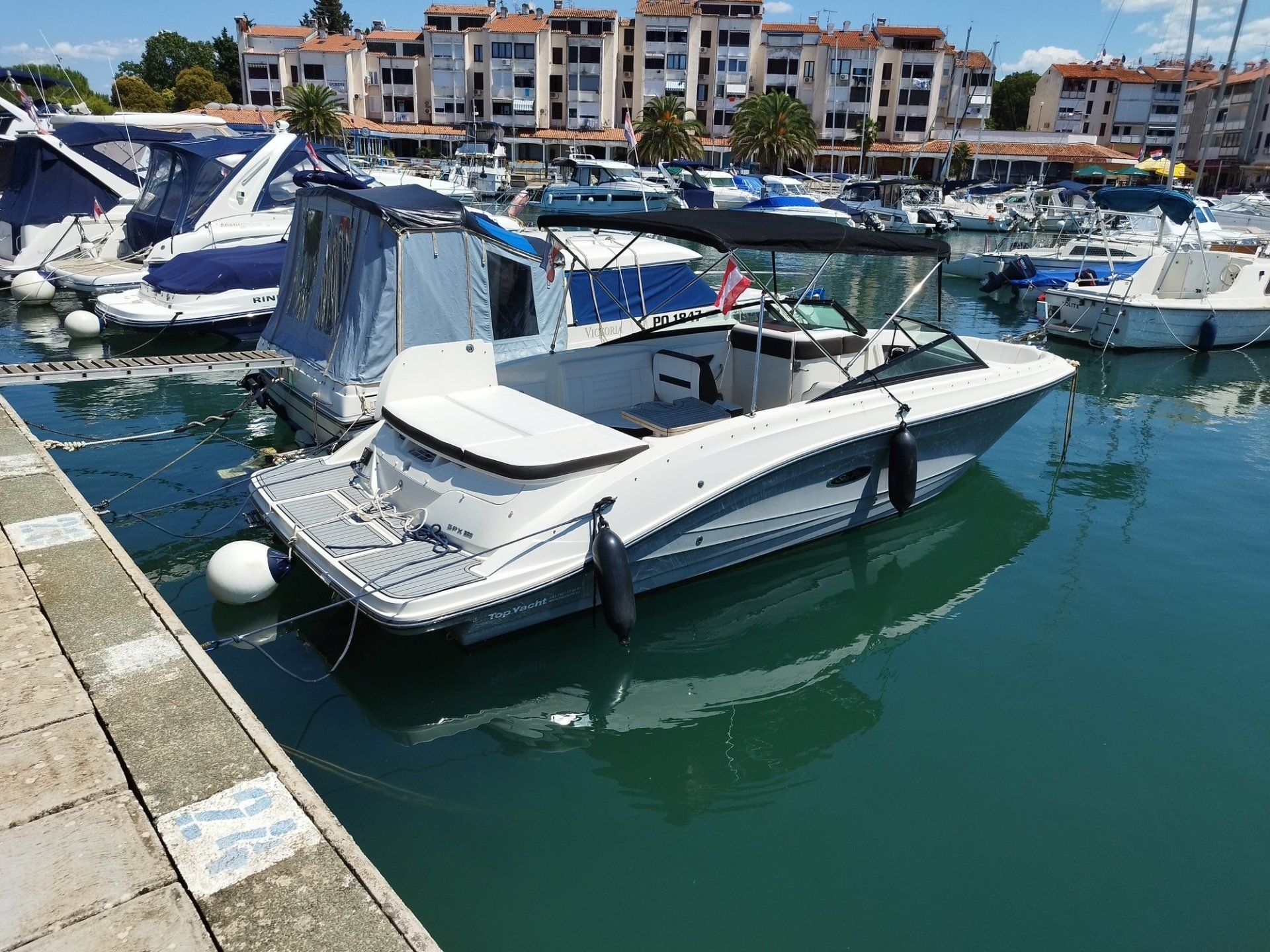 Sea Ray SPX 230 - 2018 - for sale: 58000.-EUR