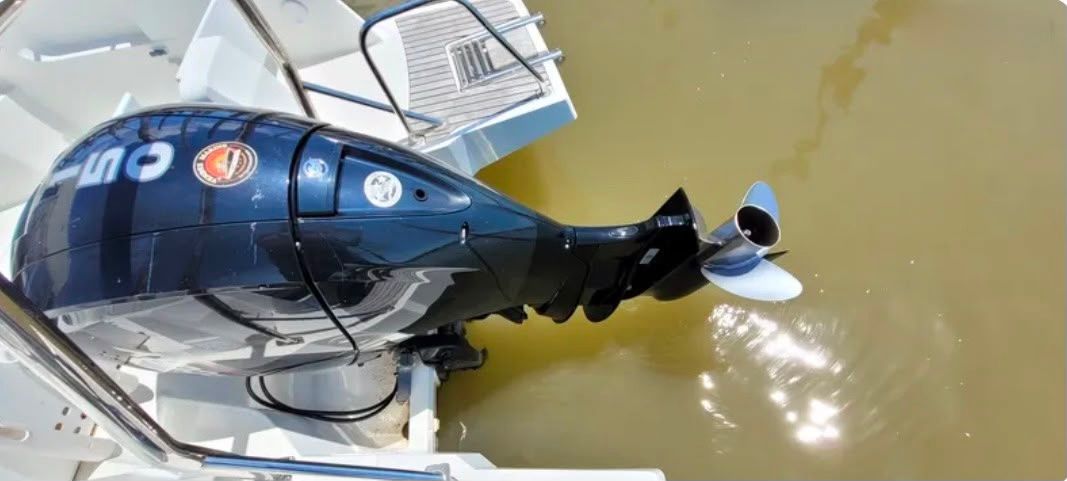 Jeanneau MERRY FISHER 795 S1 - INCE - 2019
